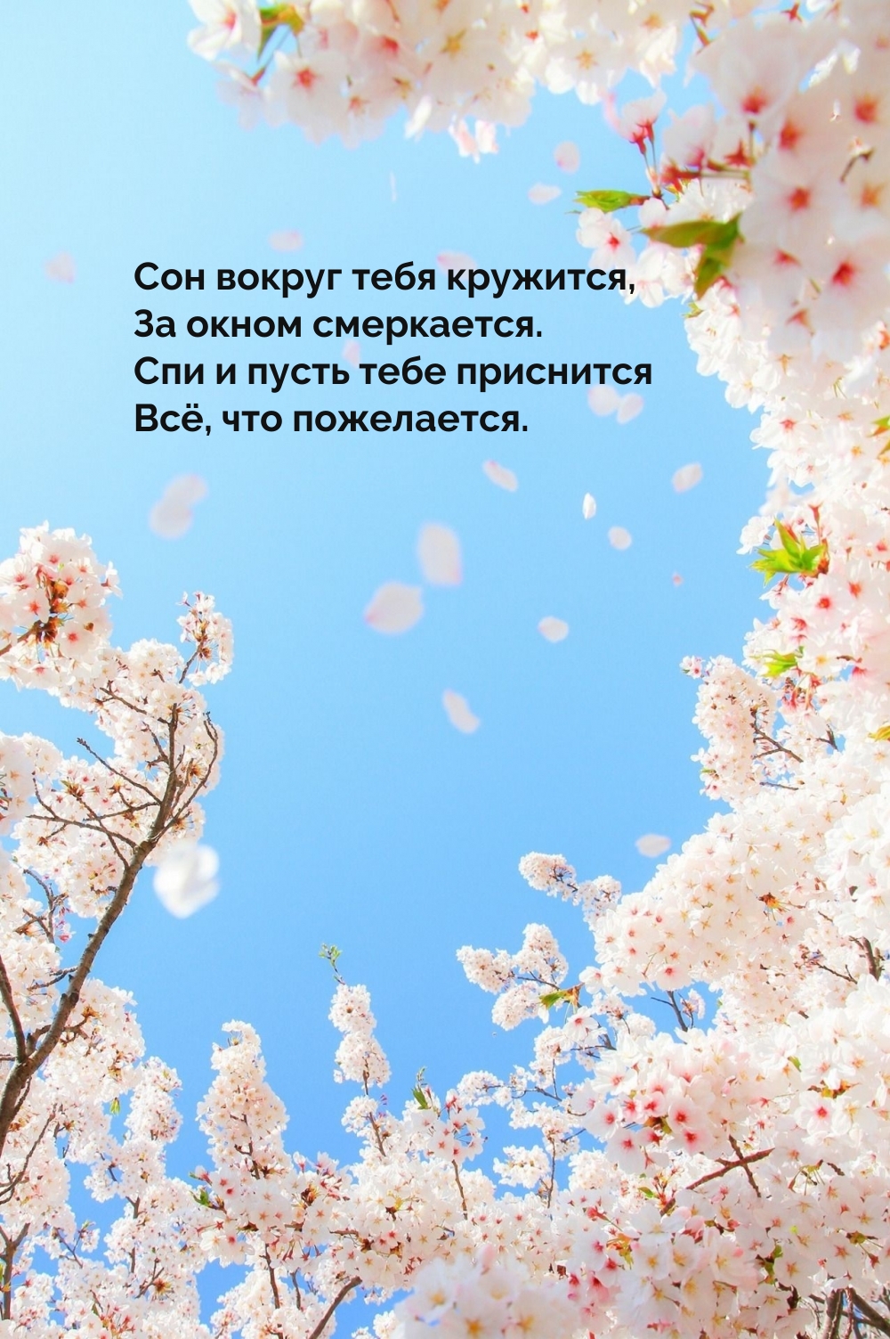 ��� ������ ���� ��������, �� ����� ����������. - �������� � ���������