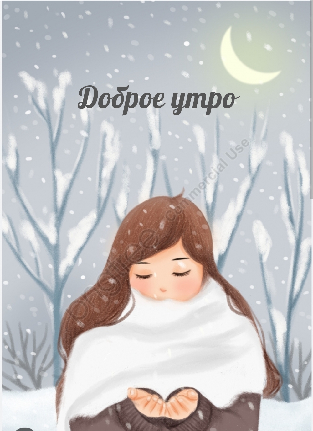 ������ ���� - �������� � ���������