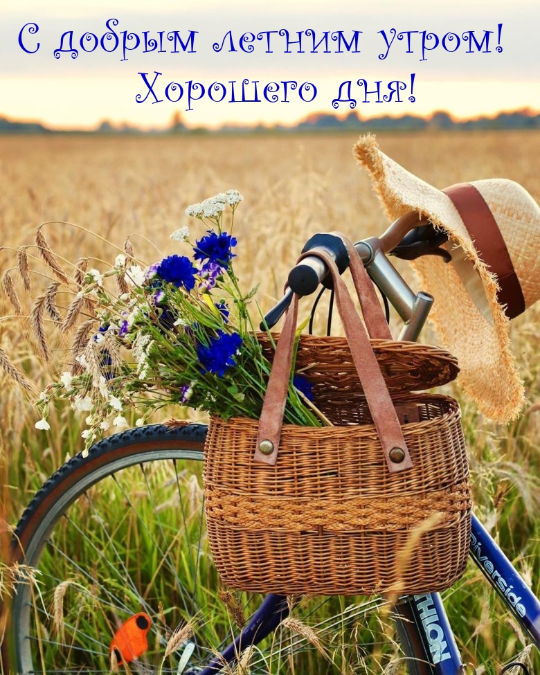 � ������ ������ �����! �������� ���! - �������� � ���������