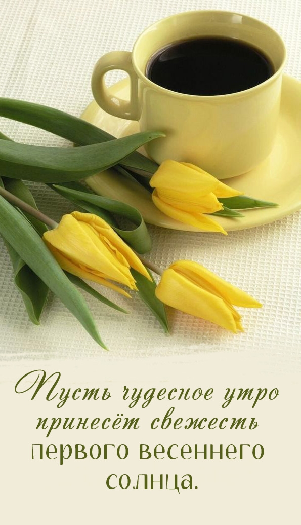 ����� �������� ���� ������� �������� - �������� � ���������