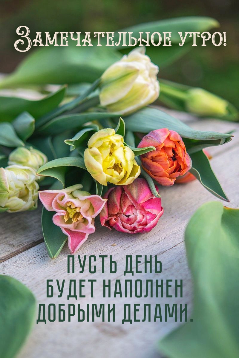 ����� ���� ����� �������� ������� ������. - �������� � ���������