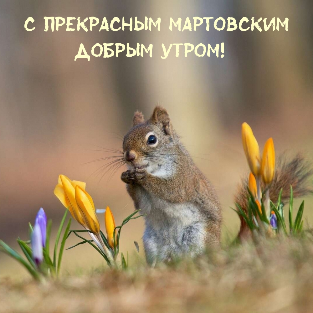 � ���������� ���������� ������ �����!.