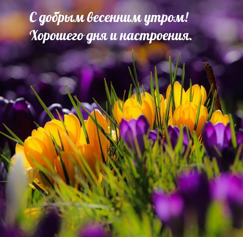 � ������ �������� �����! �������� ��� � ����������.