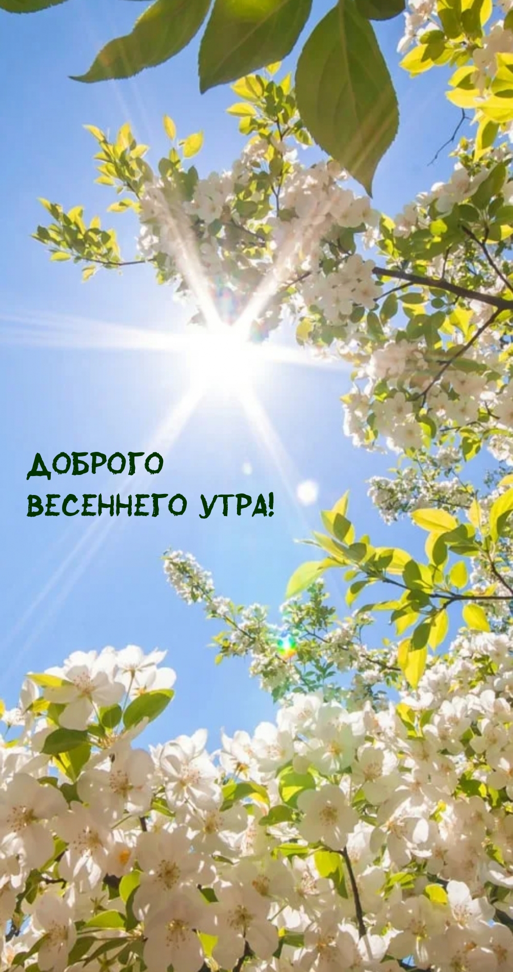 ������� ��������� ����!.