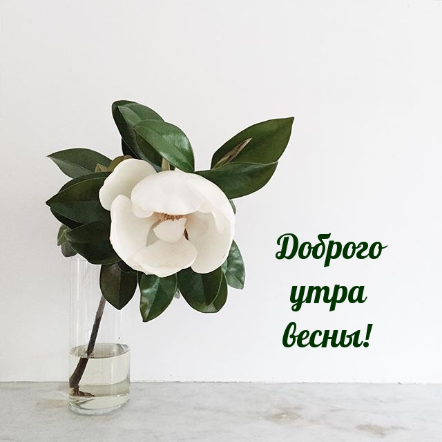 ������� ���� �����!