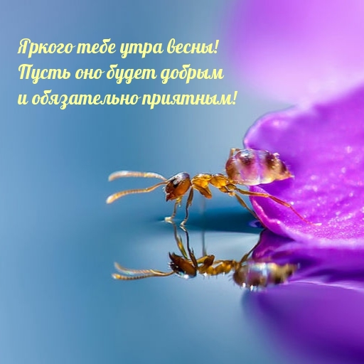 ������ ���� ���� �����! ����� ��� ����� ������ � ����������� ��������!