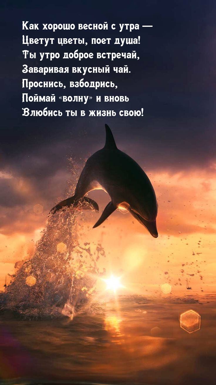 ��� ������ ������ � ���� � ������ �����, ���� ����!.