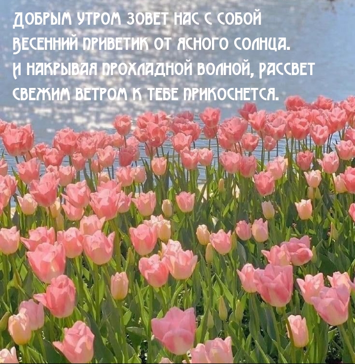 ������ ����� ����� ��� � ����� �������� �������� �� ������ ������..