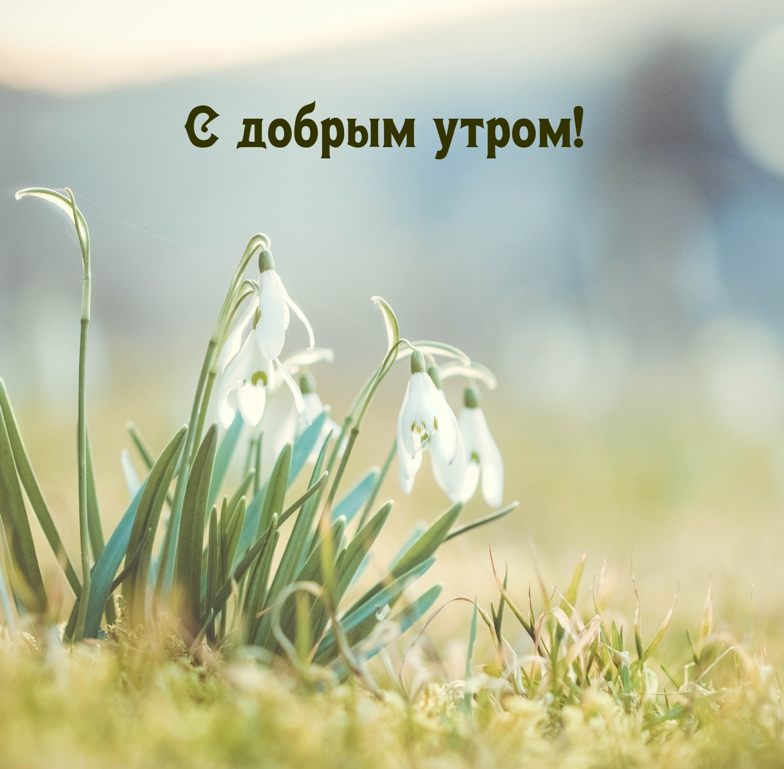 � ������ �����!.