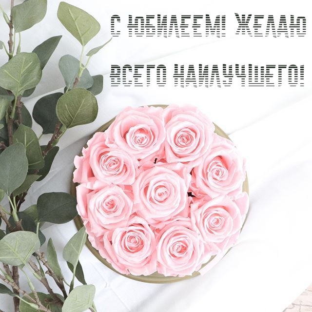 � �������! ����� ����� ����������!