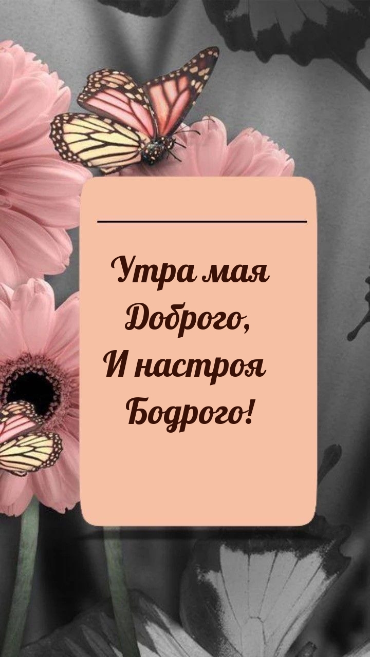 ���� ��� �������, � ������� �������!