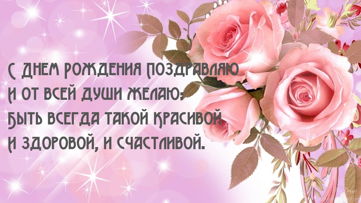 �� ���� ���� �����: ���� ������ ����� ��������
