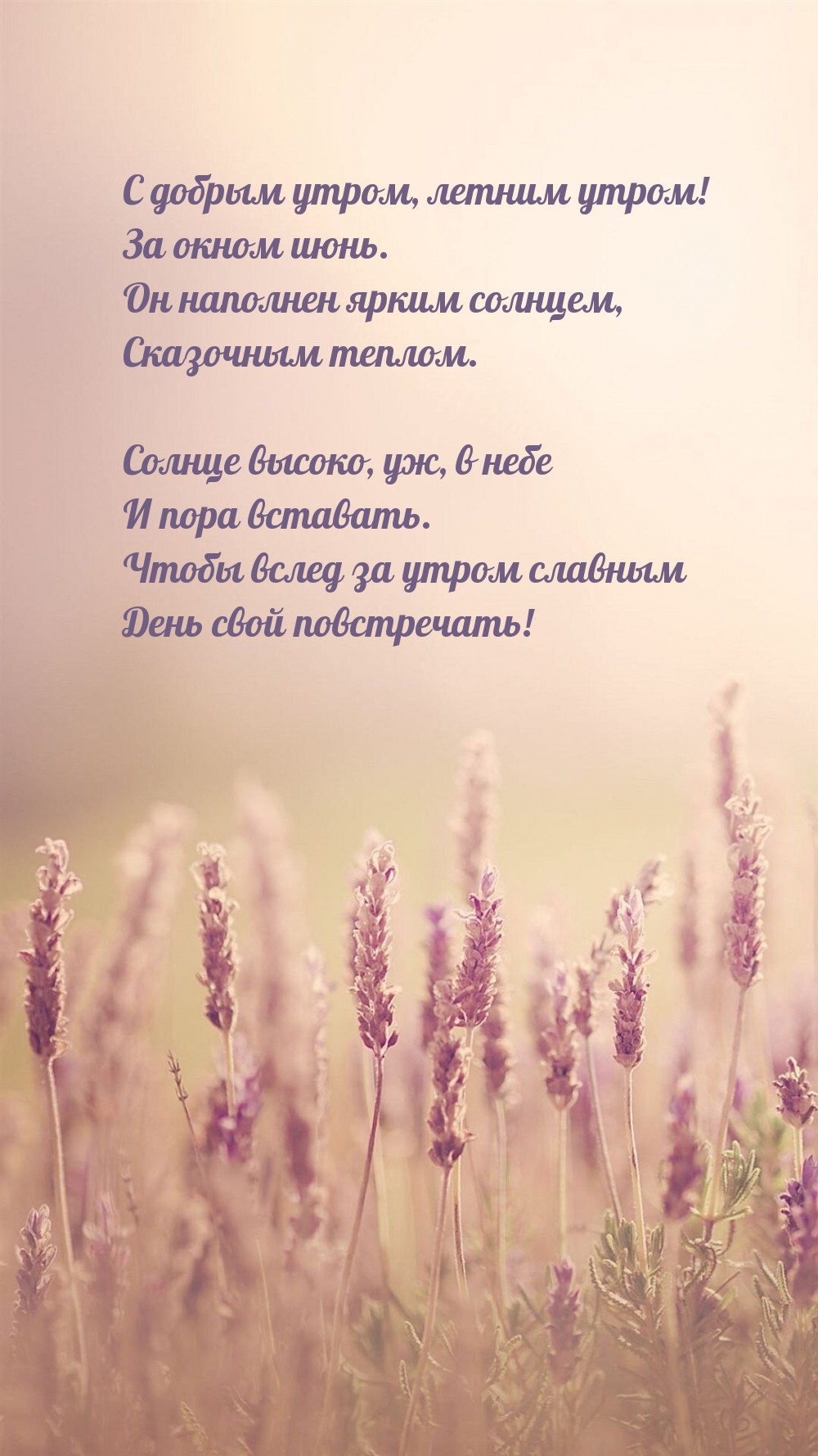 � ������ �����, ������ �����! �� ����� ����..