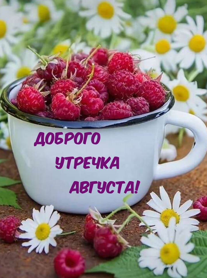 ������� ������� �������!.