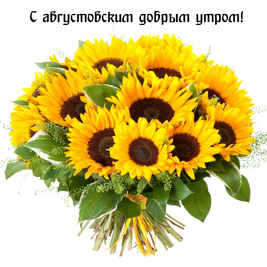 � ������������ ������ �����!.