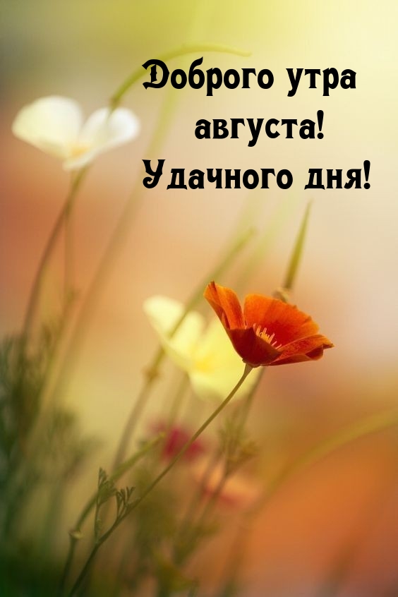 ������� ���� �������! �������� ���!.