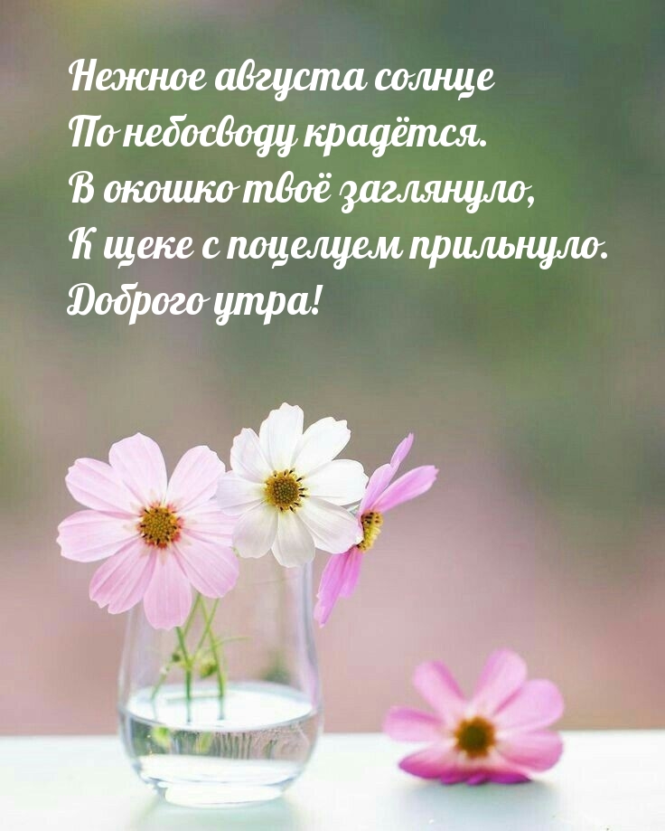 ������ ������� ������ �� ��������� �������..