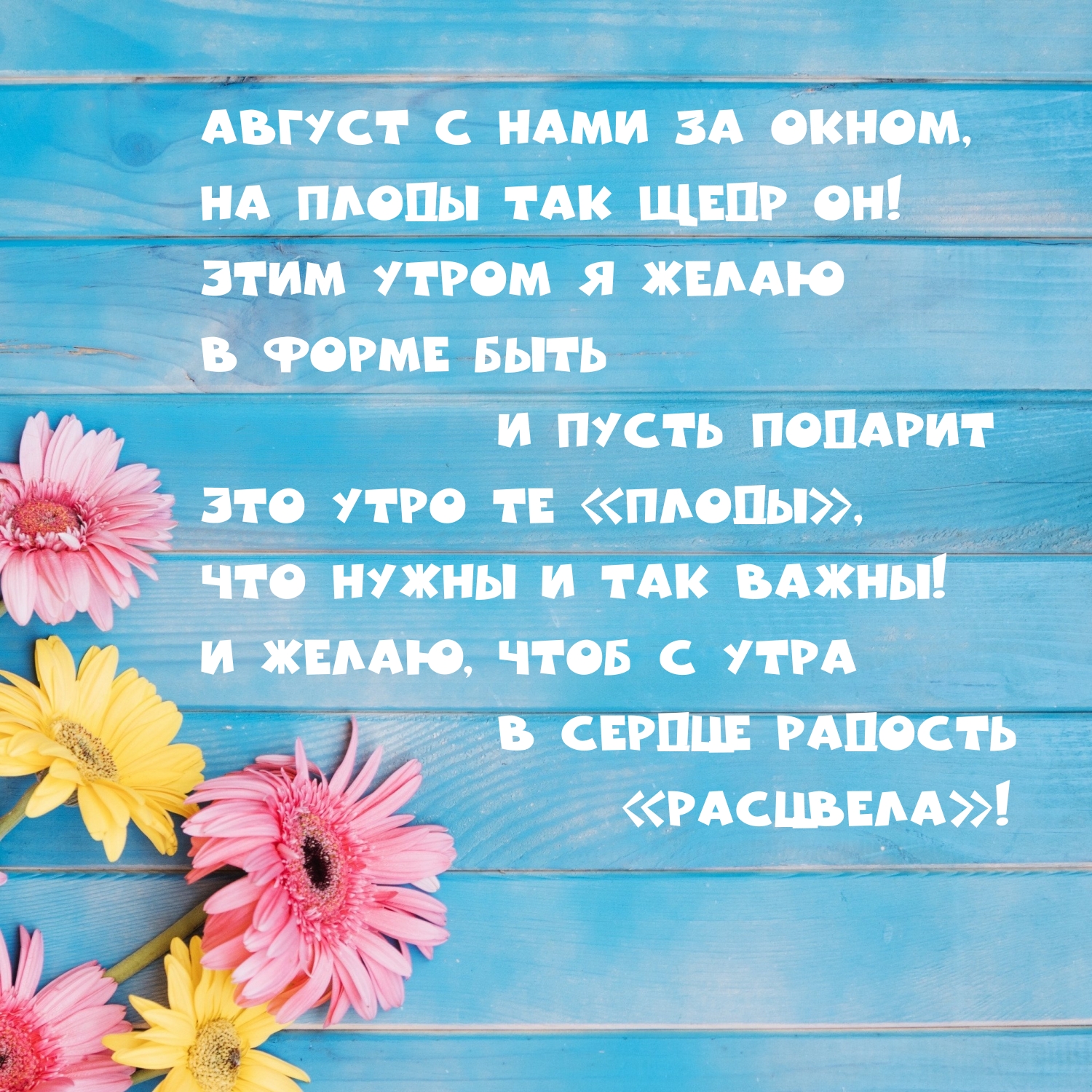 ������ � ���� �� �����, �� ����� ��� ���� ��!.