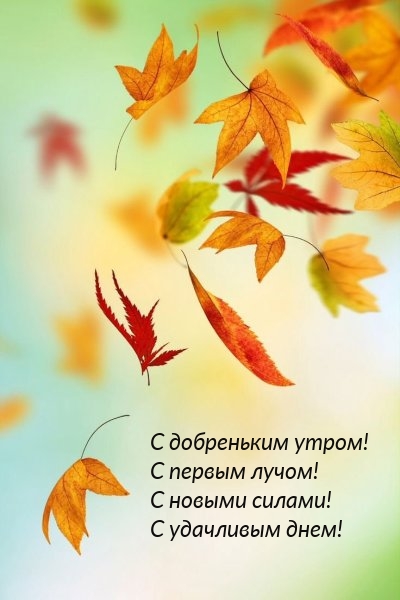 � ���������� �����! � ������ �����!