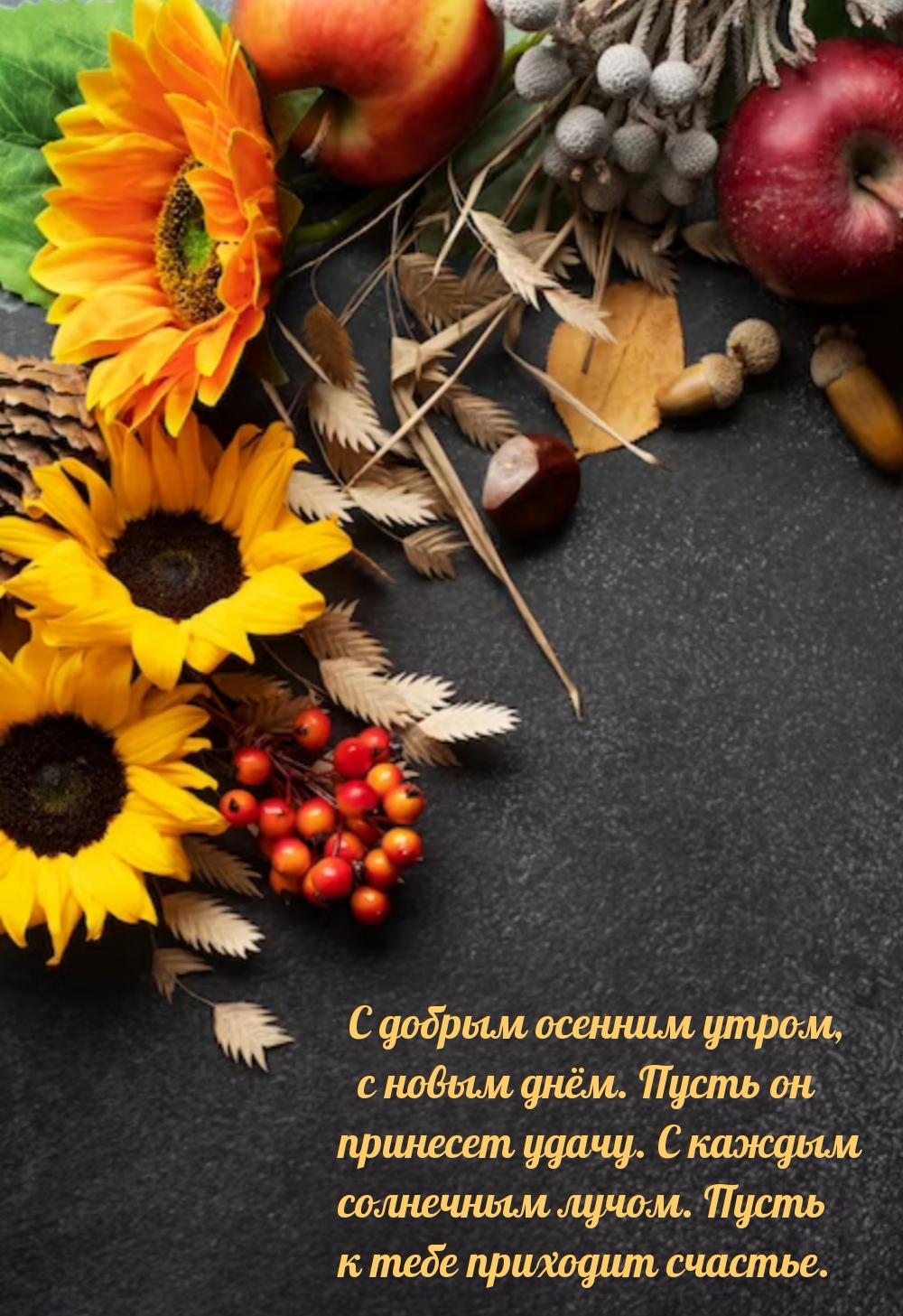 � ������ ������� �����, � ����� ����.