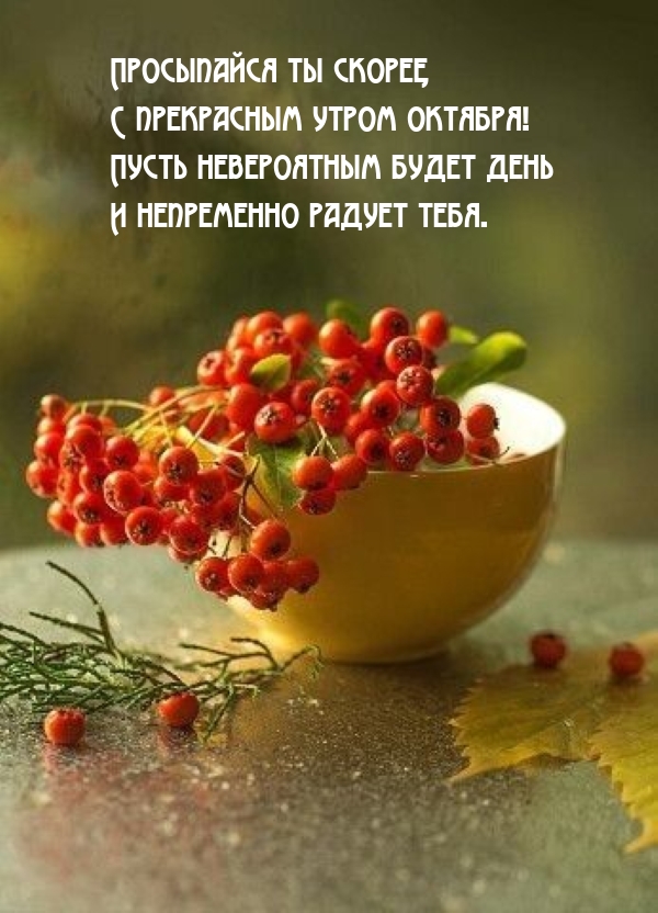 ���������� �� ������, � ���������� ����� �������!.
