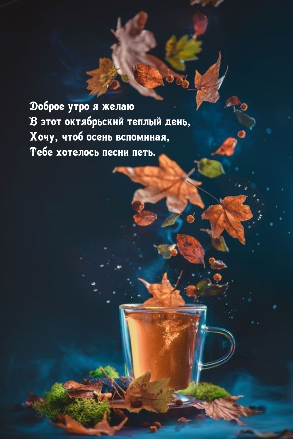 ������ ���� � ����� � ���� ����������� ������ ����