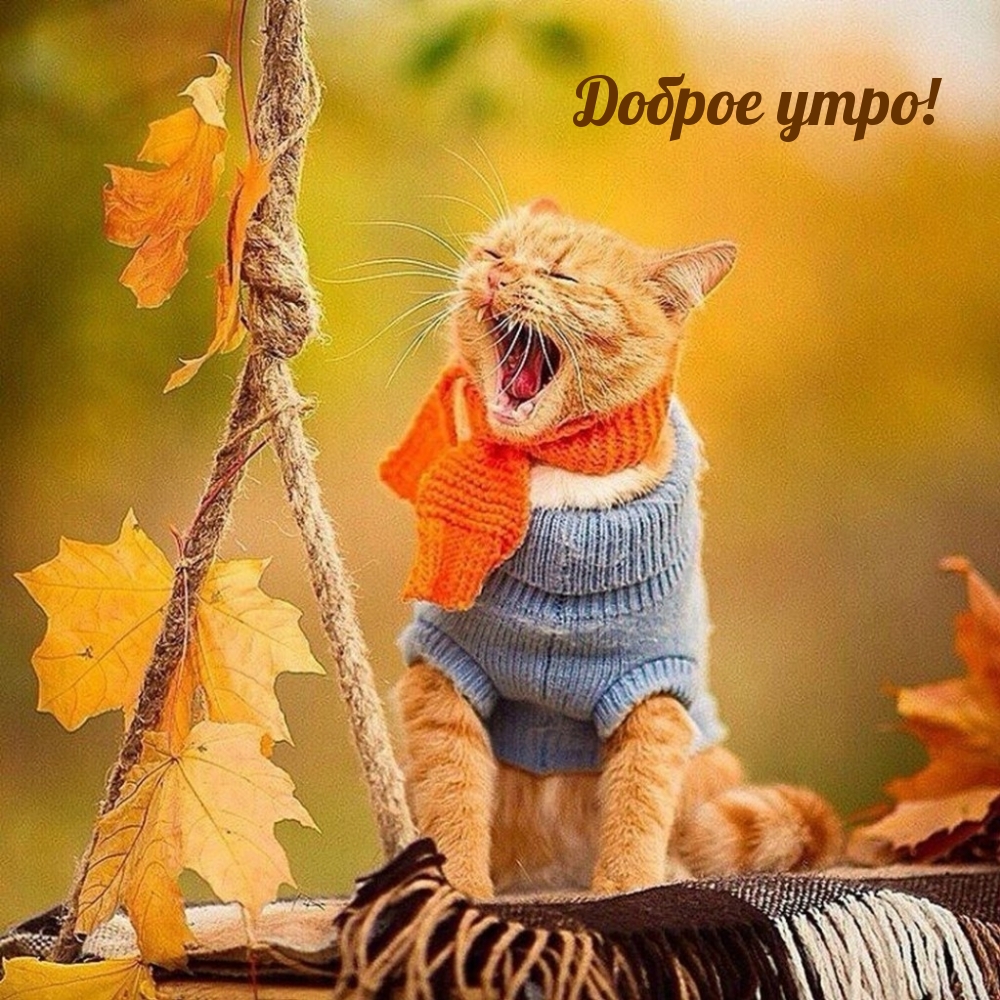 ������ ����!.