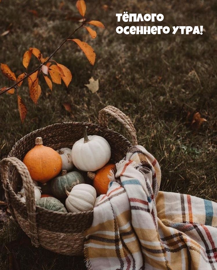 Ҹ����� �������� ����!.