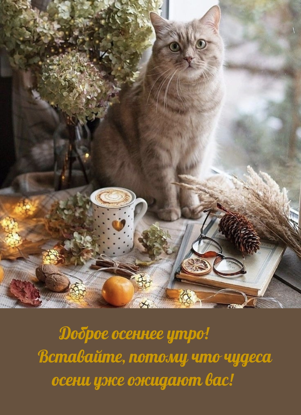 ���������, ������ ��� ������ ����� ��� ������� ���!