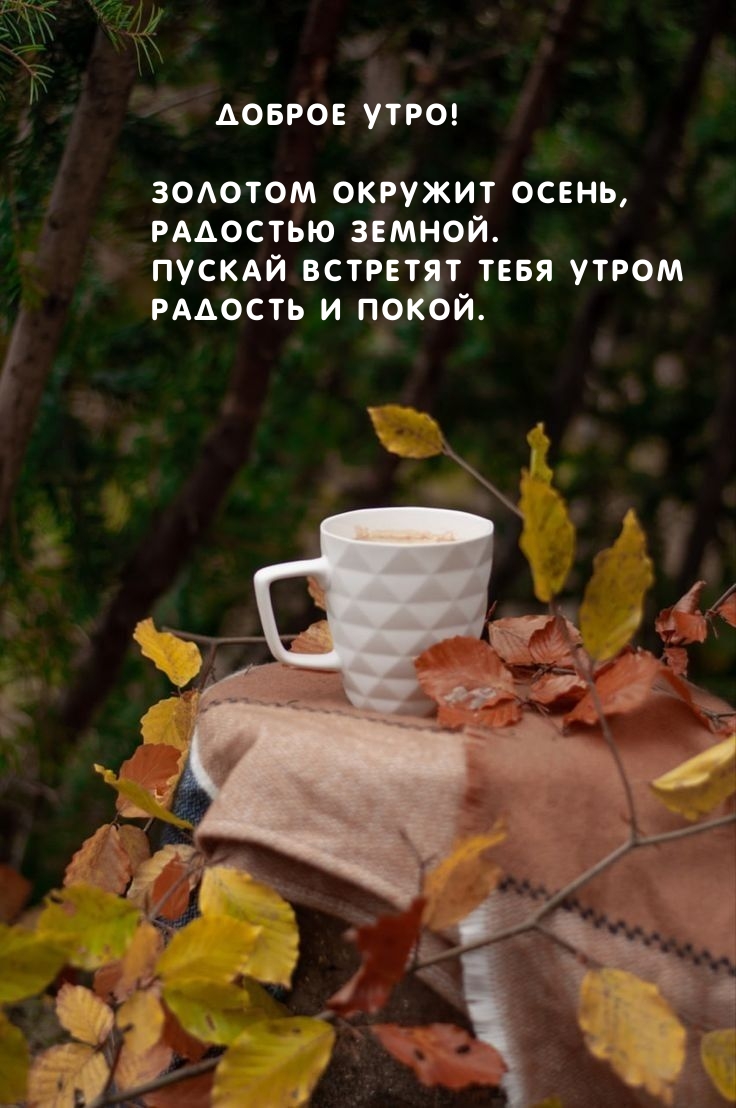 ������� ������� �����, �������� ������.
