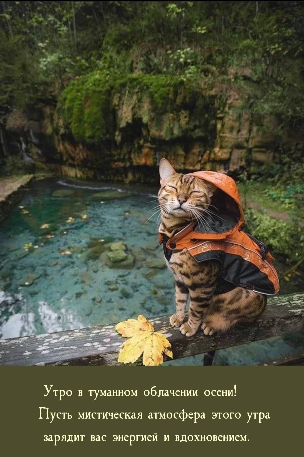 ����� ����������� ��������� ����� ���� ������� ��� ��������