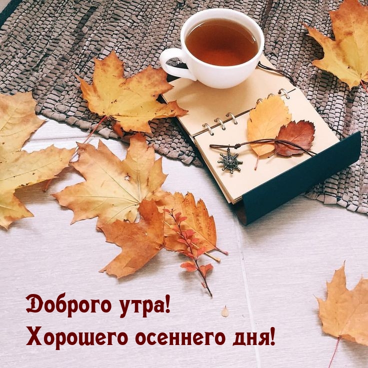 ������� ����! �������� �������� ���!