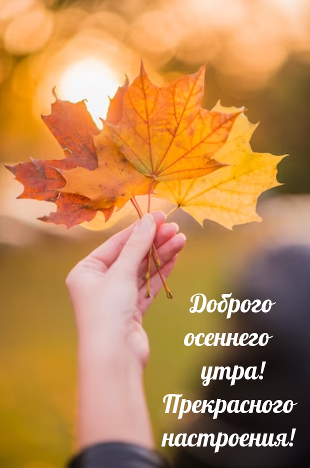 ������� �������� ����! ����������� ����������!.