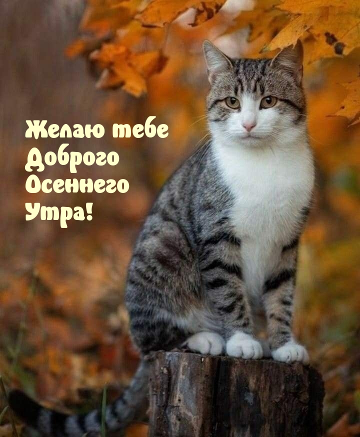 ����� ���� ������� �������� ����!