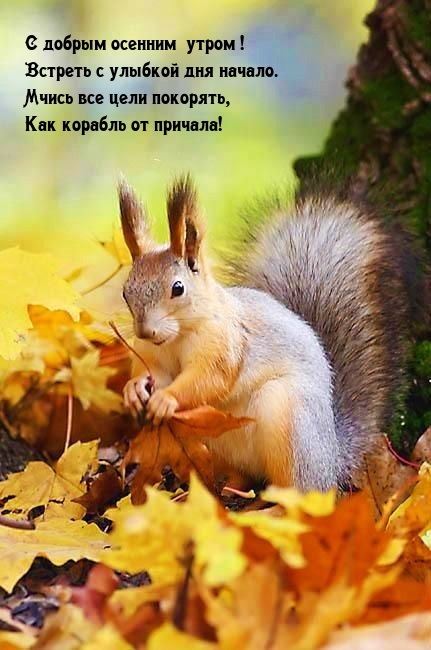 � ������ ������� �����! ������� � ������� ��� ������.