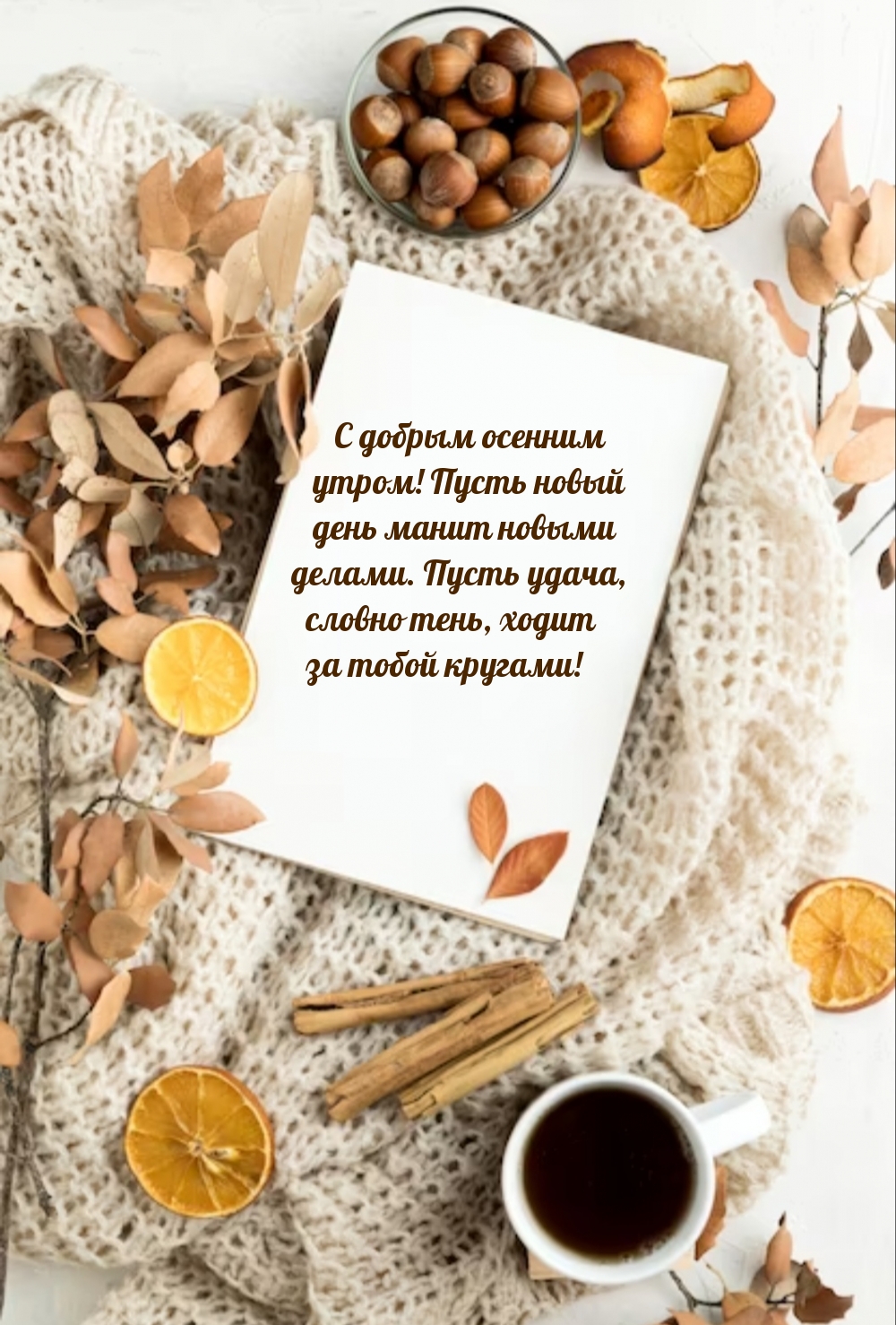 � ������ ������� �����! ����� ����� ���� ����� ������ ������.