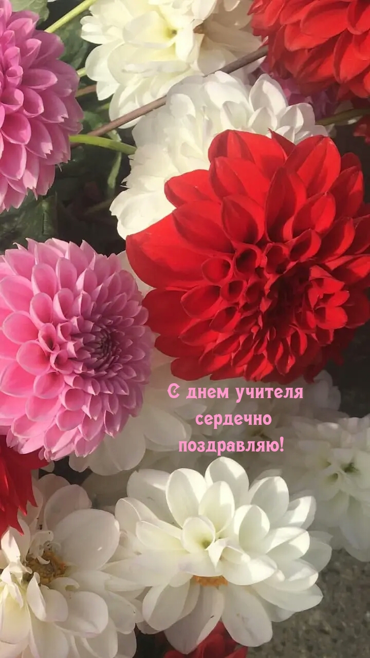 � ���� ������� �������� ����������!