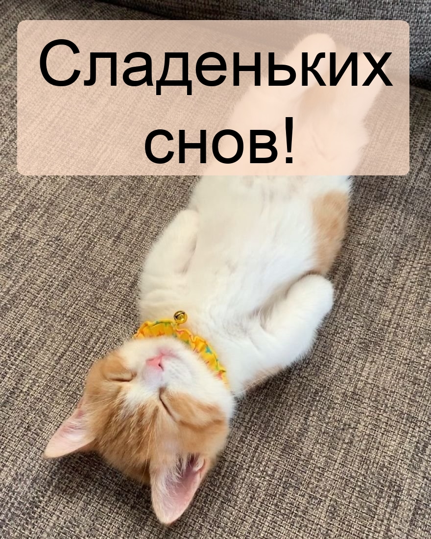 ���������� ����!.
