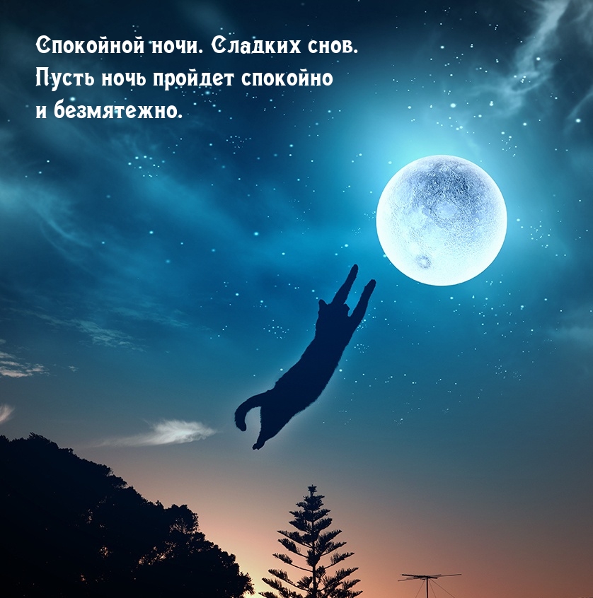 ������� ����. ����� ���� ������� �������� � ����������..