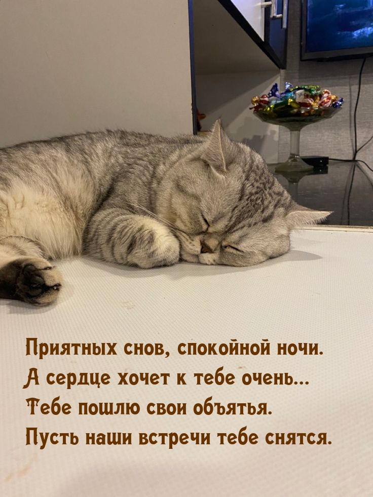 �������� ����, ��������� ����. � ������ ����� � ���� �����...