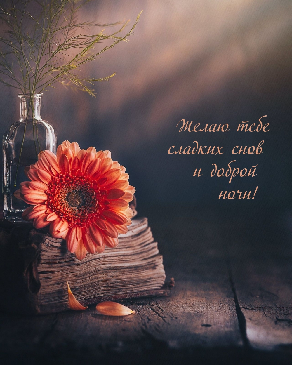 ����� ���� ������� ���� � ������ ����!.