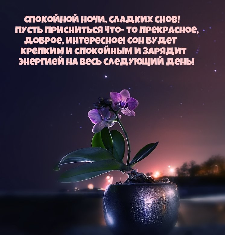 ��������� ����, ������� ����! ����� ���������� ���-�� ����������