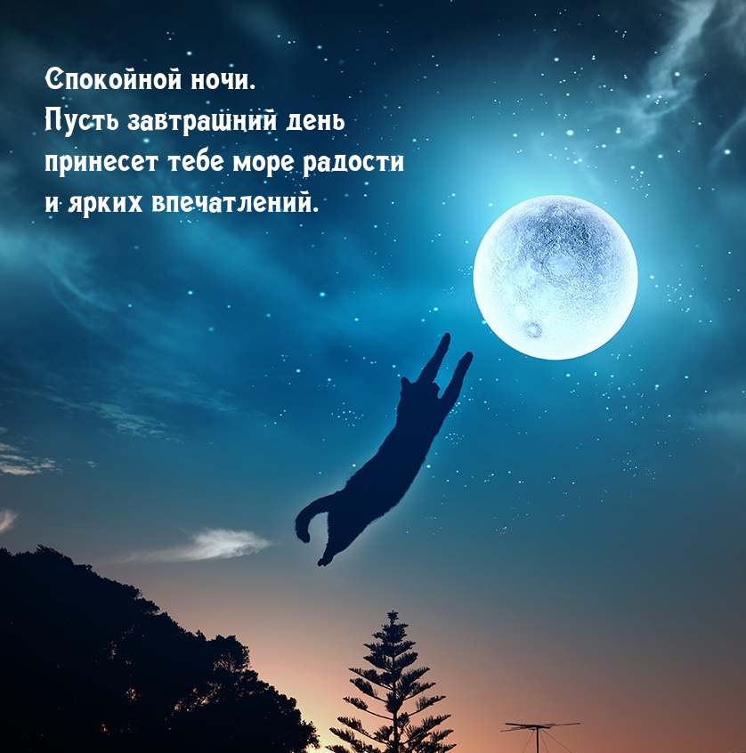 ��������� ����. ����� ���������� ���� �������� ���� ������� 