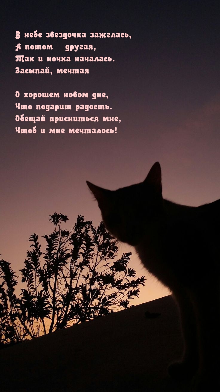� ���� ��������� ��������, � ����� � ������