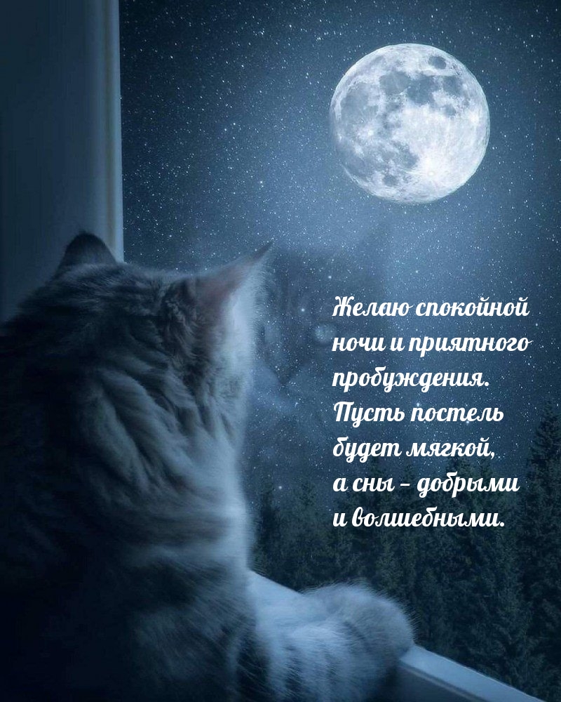 ����� ��������� ���� � ��������� �����������. 