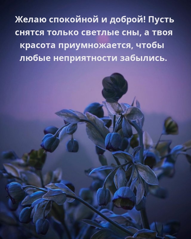 ����� ��������� � ������! ����� ������ ������ ������� ���,