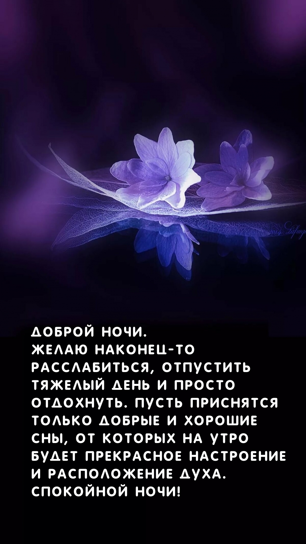 ������ ����. ����� �������-�� ������������