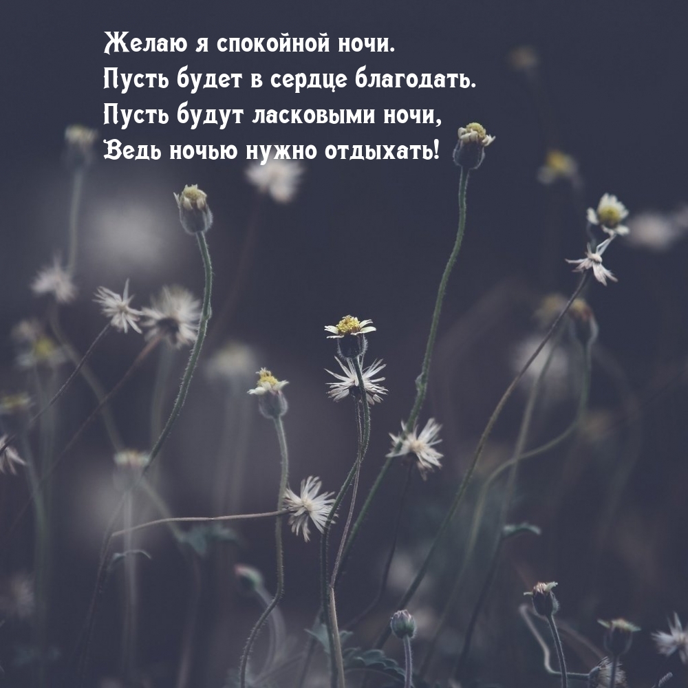 ����� � ��������� ����. ����� ����� � ������ ���������.