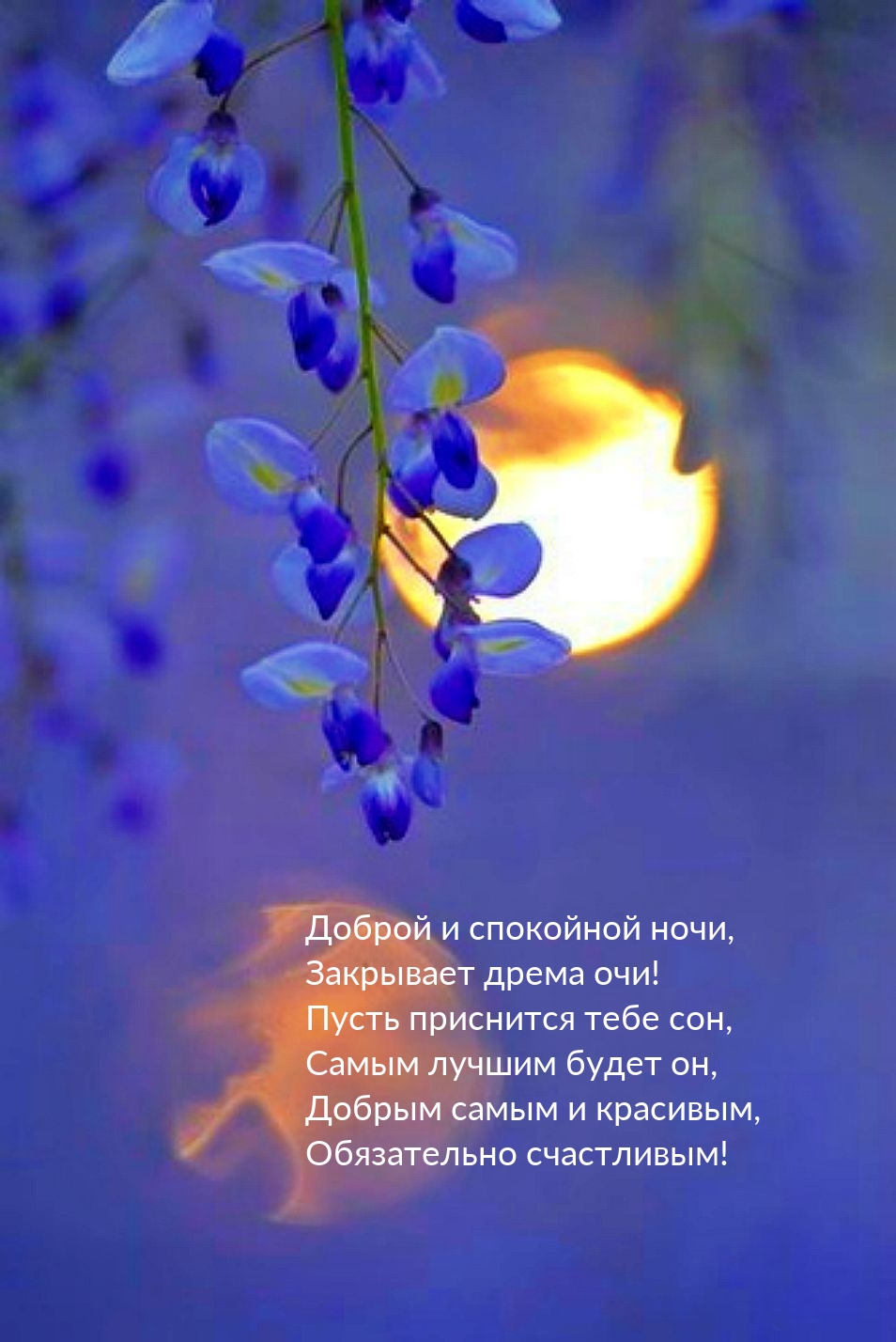 ������ � ��������� ����, ��������� ����� ���!.