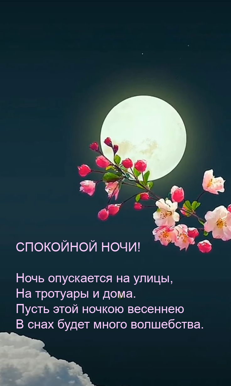 ��������� ����! ���� ���������� �� �����, �� �������� � ����..